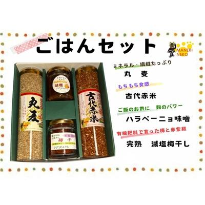 ふるさと納税 宗像市 [一週間以内に発送][ギフト]ごはんセット[アグリCATS]