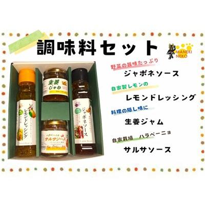 ふるさと納税 宗像市 [一週間以内に発送][ギフト]調味料セット[アグリCATS]