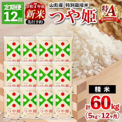 ふるさと納税 山形市 [12月開始]定期便12回 令和7年産 山形産 特別栽培米 つや姫 5kg×12 FZ25-094