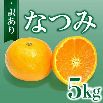 ふるさと納税 愛南町 訳あり なつみ 5kg 柑橘 愛媛産 フルーツ 産地直送 ご家庭用 訳アリ 規格外 ひなたのみかん