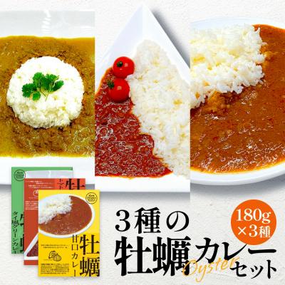 ふるさと納税 石巻市 牡蠣カレー セット 3種 かき カキ 牡蠣 カレー 甘口 スパイシー グリーンカレー レトルト