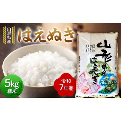 ふるさと納税 戸沢村 ≪先行予約≫令和7年度 山形県産 はえぬき 5kg 精米
