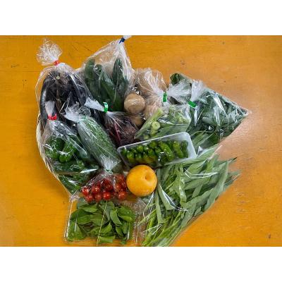 ふるさと納税 焼津市 【定期便 全12回】ジモベジ 野菜 セット(b120-043