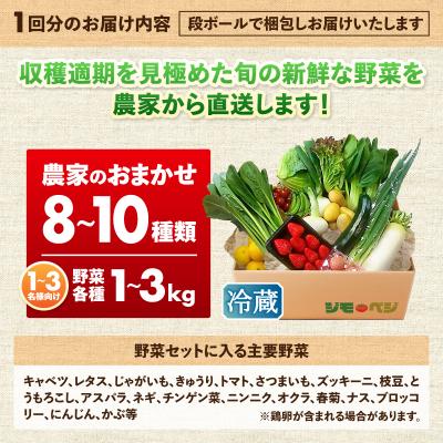 ふるさと納税 焼津市 【定期便 全12回】ジモベジ 野菜 セット(b120-043