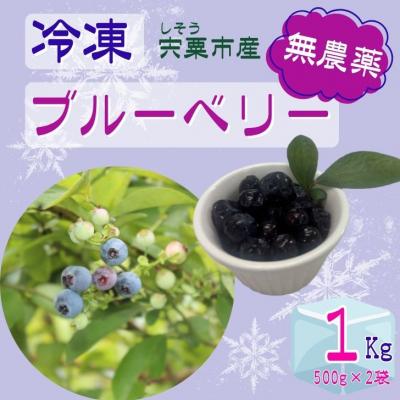 ふるさと納税 宍粟市 しそうの 冷凍 ブルーベリー 1kg (500g×2)