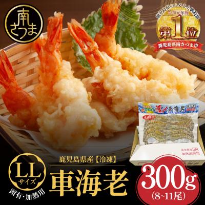 ふるさと納税 南さつま市 [鹿児島県産]冷凍 車海老 LLサイズ 300g (加熱用)
