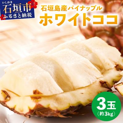 ふるさと納税 石垣市 ≪6月上旬順次発送≫ 石垣島産パイナップル ホワイトココ 3玉(約3kg)