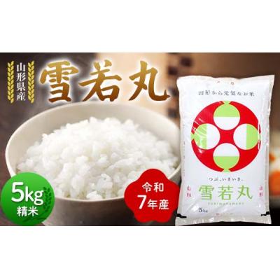 ふるさと納税 戸沢村 ≪先行予約≫令和7年度 山形県産 雪若丸 5kg 精米