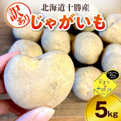 ふるさと納税 芽室町 [訳あり]北海道十勝芽室町 農家応援じゃがいも 北海こがね(変形)5kg me001-050c-3