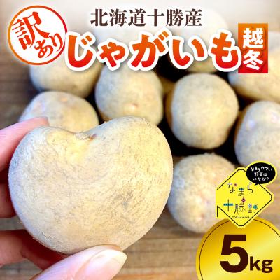 ふるさと納税 芽室町 [訳あり]北海道十勝芽室町 農家応援じゃがいも(越冬)5kg 北海こがね(変形)