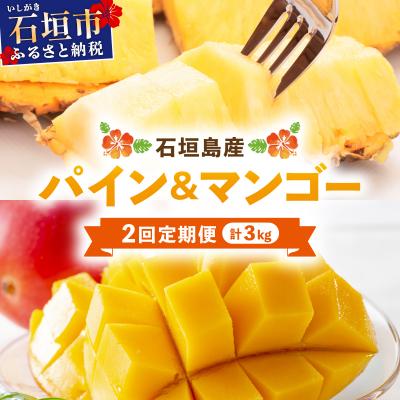 ふるさと納税 石垣市 [2027年5月から発送 2回定期便]石垣島産パイナップル約2kg・マンゴー約1kgセット