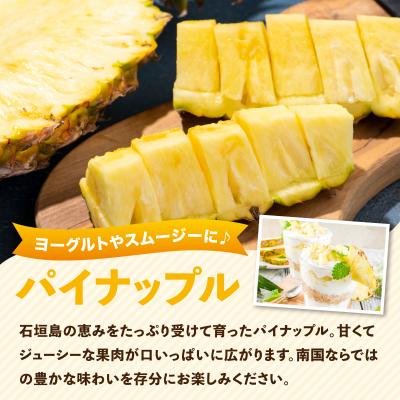ふるさと納税 石垣市 2027年5月から発送4回定期便 石垣島産パイナップル約2kg×3回・マンゴー約1kg×1回セット |  | 01