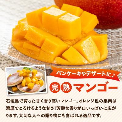 ふるさと納税 石垣市 2027年5月から発送4回定期便 石垣島産パイナップル約2kg×3回・マンゴー約1kg×1回セット |  | 02