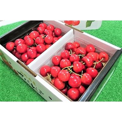 ふるさと納税 上山市 さくらんぼ(紅秀峰)1kg 秀品 2Lサイズ