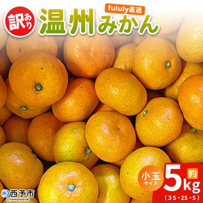 ふるさと納税 西予市 fululy 直送温州 みかん 訳あり 約5kg わけあり サイズ 混合 小玉