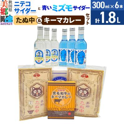 ふるさと納税 美郷町 ニテコサイダー3本・ミズモサイダー3本とたぬ中・キーマカレーのセット|01_amd-960101b