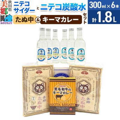 ふるさと納税 美郷町 ニテコサイダー3本・ニテコ炭酸水3本とたぬ中・キーマカレーのセット|01_amd-960101d