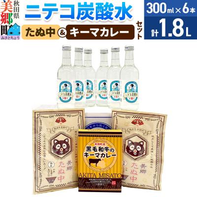 ふるさと納税 美郷町 ニテコ炭酸水6本とたぬ中・キーマカレーのセット|01_amd-940101e