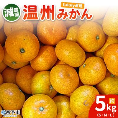 ふるさと納税 西予市 fululy直送 減農薬温州みかん 約5kg サイズ混合 果物