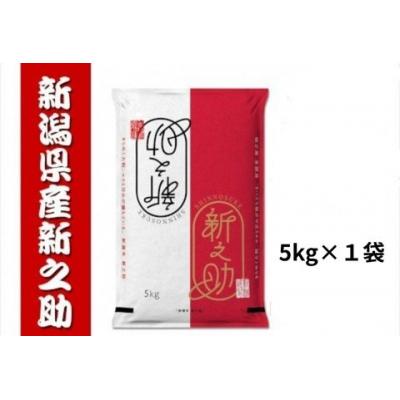 ふるさと納税 阿賀野市 [令和7年産新米]新之助 5kg 白米 精米 井上米穀店