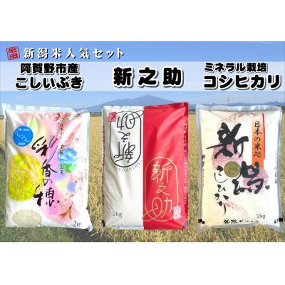 ふるさと納税 阿賀野市 [令和7年産新米]新潟人気米セット計6kg(コシヒカリ・新之助・こしいぶき各2kg)