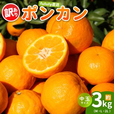 ふるさと納税 西予市 fululy直送 ポンカン 訳あり 約3kg ワケアリ 中玉