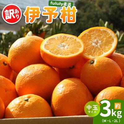 ふるさと納税 西予市 fululy直送 伊予柑 訳あり 約3kg ワケアリ 中玉 果物