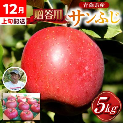 ふるさと納税 五所川原市 [12月上旬発送]贈答用 りんご 約 5kg サンふじ 青森県産 五所川原 [金賞受賞歴有!]