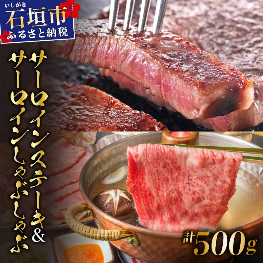 ふるさと納税 石垣市 サーロインステーキとサーロインしゃぶしゃぶ用 贅沢な食べ比べセット合計500g