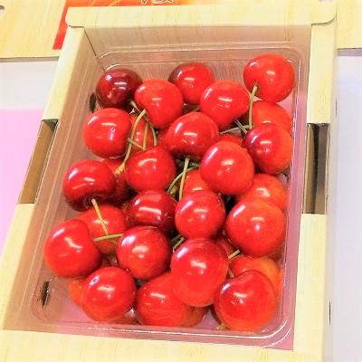 ふるさと納税 上山市 さくらんぼ(紅秀峰)500g L〜3L