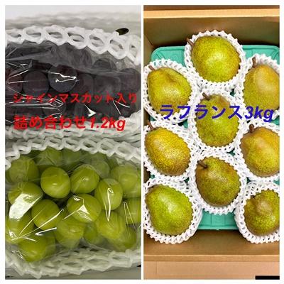 ふるさと納税 上山市 フルーツセット(ぶどう詰め合わせ、ラ・フランス)[定期便:全2回]