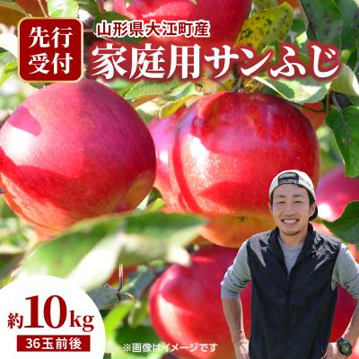 ふるさと納税 大江町 《先行受付》大江町産 家庭用サンふじ約10kg 36玉