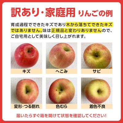 ふるさと納税 大江町 《先行受付》大江町産 家庭用サンふじ約10kg 36玉