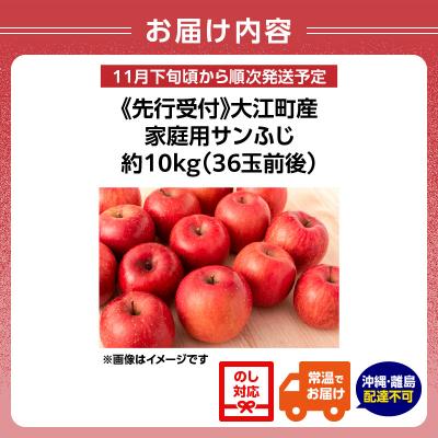 ふるさと納税 大江町 《先行受付》大江町産 家庭用サンふじ約10kg 36玉