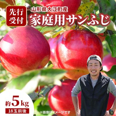 ふるさと納税 大江町 [先行受付]大江町産 家庭用サンふじ約5kg 18玉前後[11月下旬発送予定]067-002