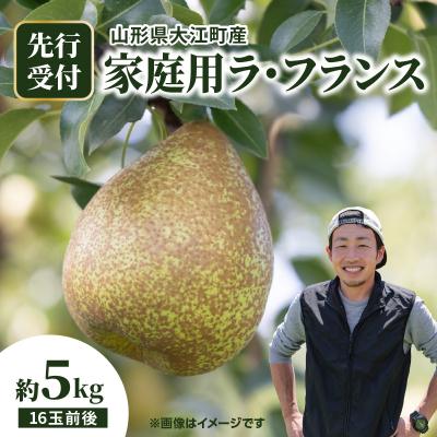 ふるさと納税 大江町 [先行受付]大江町産 家庭用ラフランス約5kg 16玉前後[11月中旬発送予定]067-005