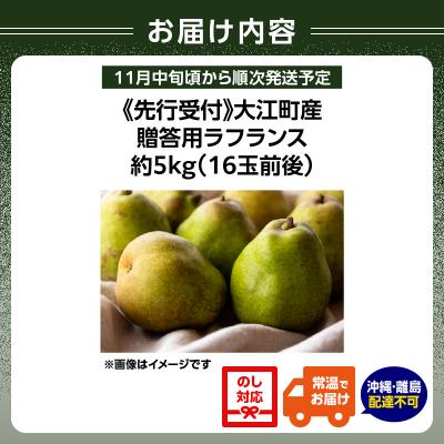 ふるさと納税 大江町 《先行受付》大江町産 贈答用ラフランス約5kg 16玉前後【11月中旬発送予定】067-006 |  | 01
