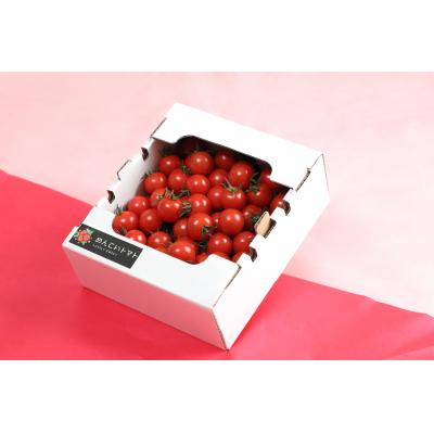 ふるさと納税 陸前高田市 訳あり フルーツトマト 約1kg 品種 フルティカ とまと フルーツ 野菜