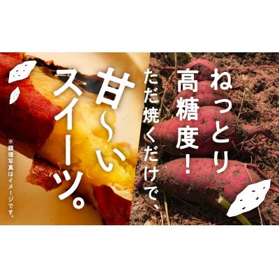 ふるさと納税 小松市 【先行予約】 さつまいも ねっとり甘〜い おいもさん (紅はるか)サツマイモ 5kg_1