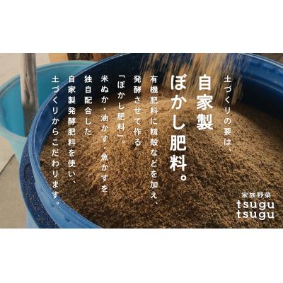 ふるさと納税 小松市 【先行予約】 さつまいも ねっとり甘〜い おいもさん (紅はるか)サツマイモ 5kg_2