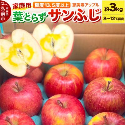 ふるさと納税 弘前市 りんご [糖度13.5度以上]サンふじ 約3kg 葉とらず 青森県|24_eba-050301