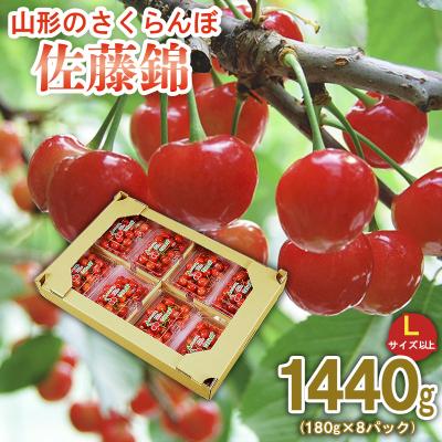 ふるさと納税 山形市 さくらんぼ佐藤錦 1440g (180g×8)Lサイズ以上【令