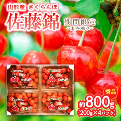 ふるさと納税 山形市 さくらんぼ 佐藤錦 約800g (200g×4) 期間限定【令和9年産先行予約】FS24-527 | 