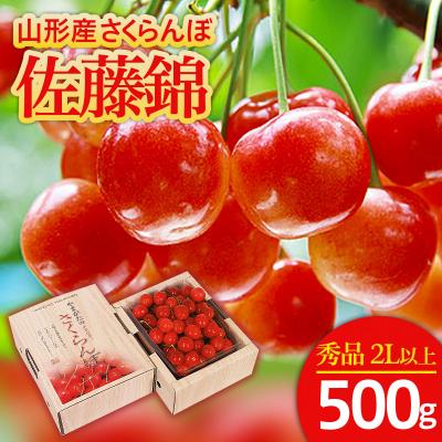 ふるさと納税 山形市 さくらんぼ 佐藤錦 "希少な大粒" 2L以上 500g[令和8年産先行予約]FS25-564