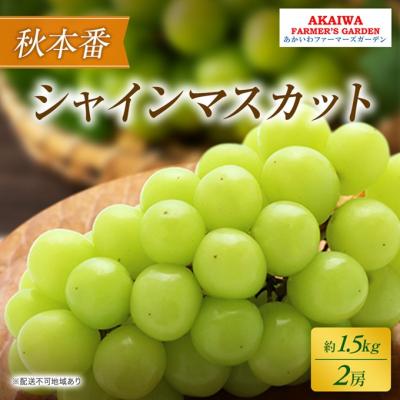 ふるさと納税 赤磐市 ぶどう 2026年 先行予約 シャインマスカット 約1.5kg2房 秋本番[NO5765-1383]