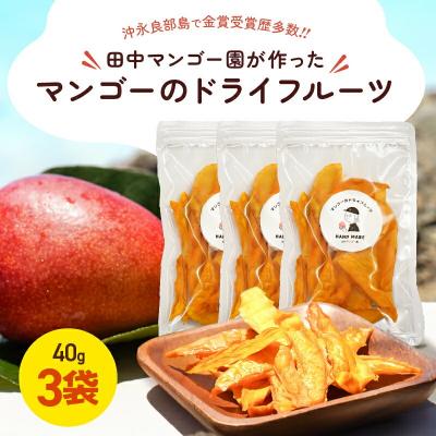 ふるさと納税 和泊町 [先行受付]田中マンゴー園が作ったマンゴーのドライフルーツ 40g×3袋