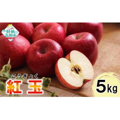 ふるさと納税 陸前高田市 りんご 約5kg [ 品種 : 紅玉 ] 料理・お菓子におすすめ (加工用) リンゴ 林檎