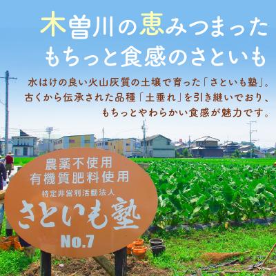 ふるさと納税 可児市 可児のおいしい里芋『さといも塾』2kg |  | 01