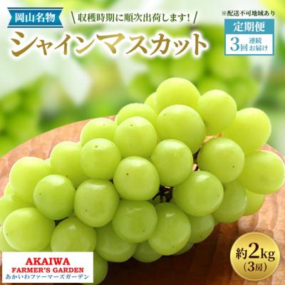 ふるさと納税 赤磐市 ぶどう 2026年 先行予約 定期便 岡山名産 シャインマスカット 3房[NO5765-1399]