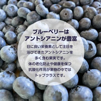ふるさと納税 余市町 余市産 冷凍ブルーベリー 残留農薬検査済み_Y155-0002 |  | 02